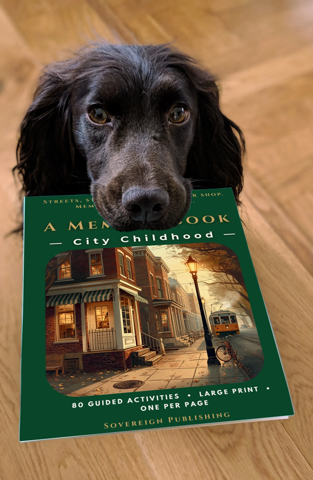 A Memory Book — City Childhood
