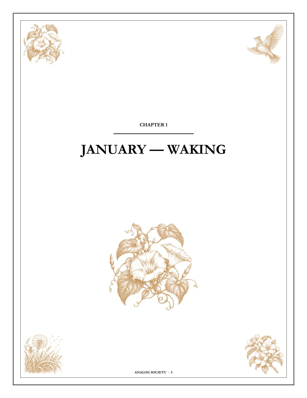 A Year of First Light - inside page: the opening of chapter one