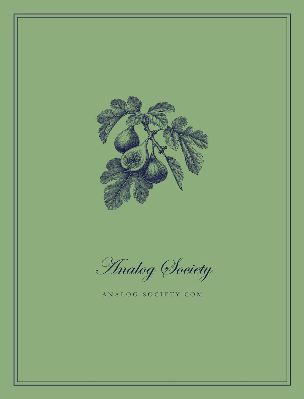 A Year of Seneca - back cover