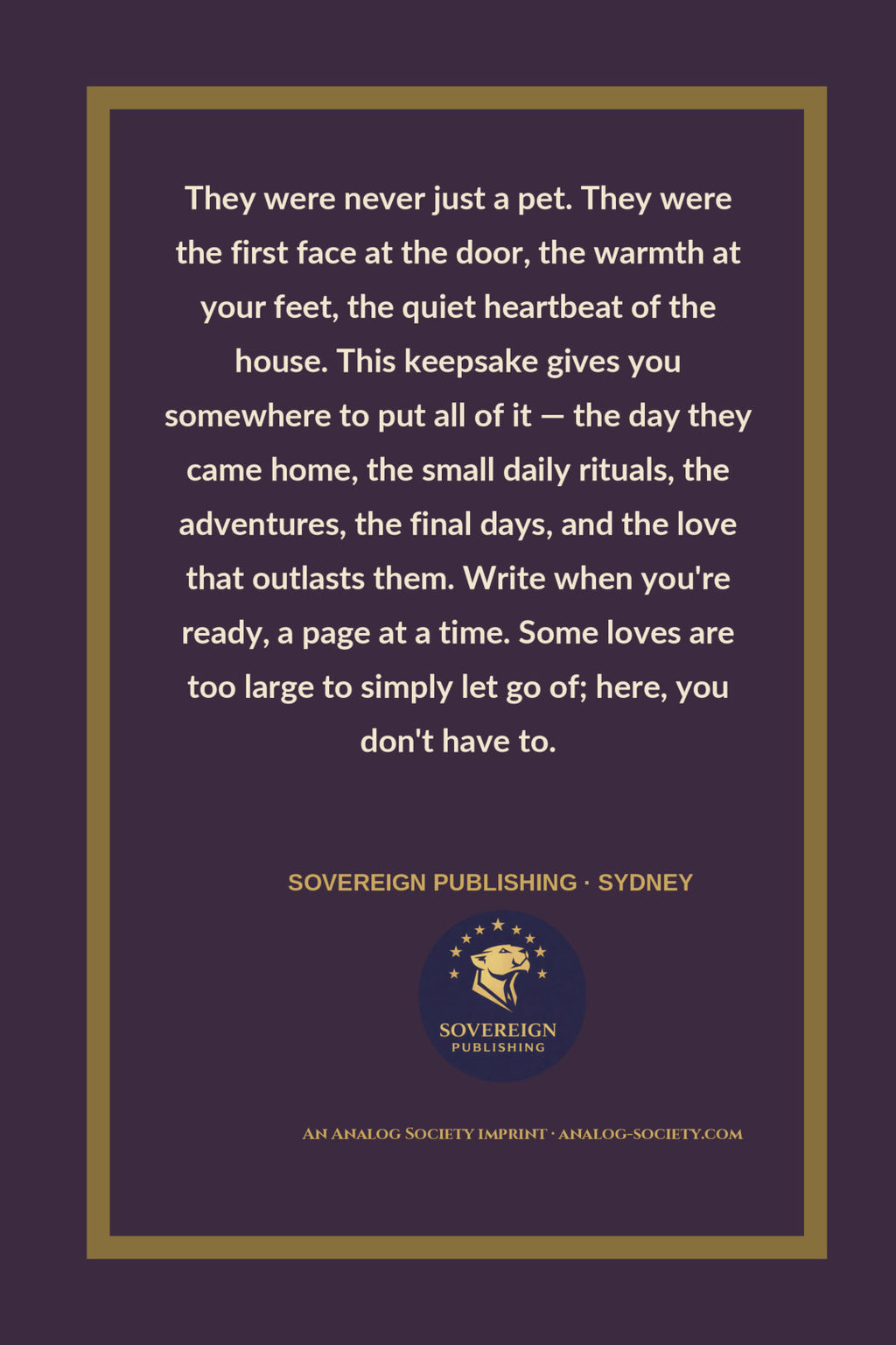 Where You Used to Sleep - back cover