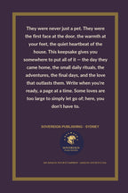 Where You Used to Sleep - back cover
