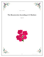 Inside The Passion and Resurrection - page 27