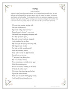 Inside Emily Dickinson - page 91