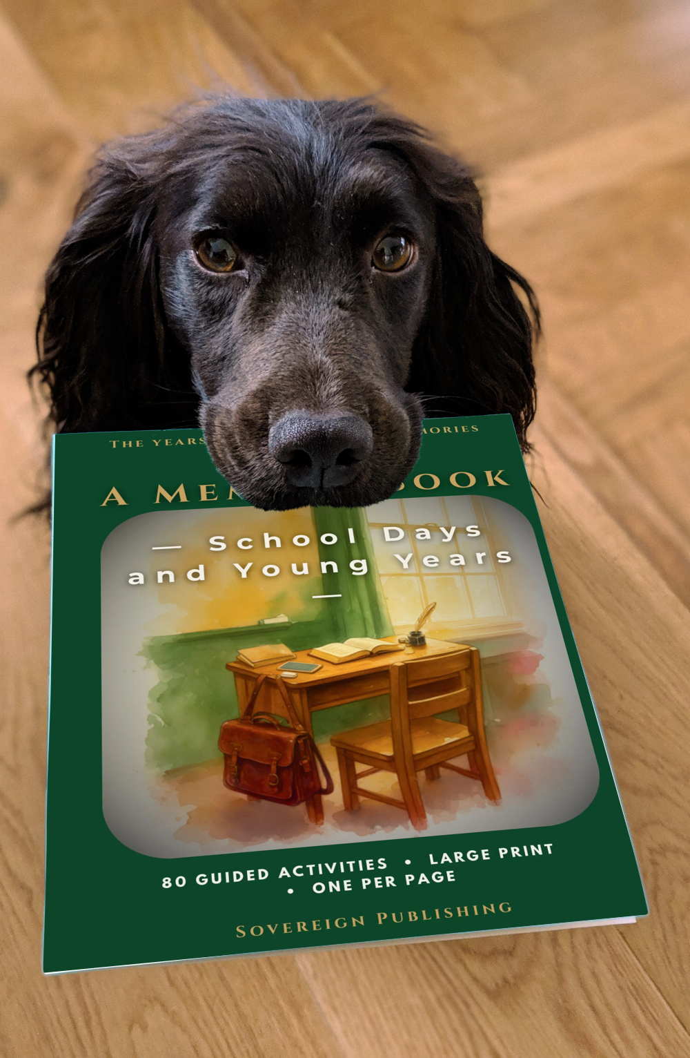 A Memory Book — School Days and Young Years
