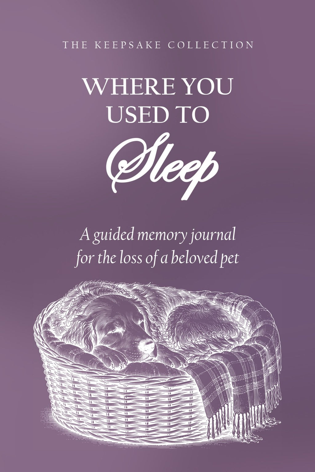 Where You Used to Sleep hardcover gift edition, front cover