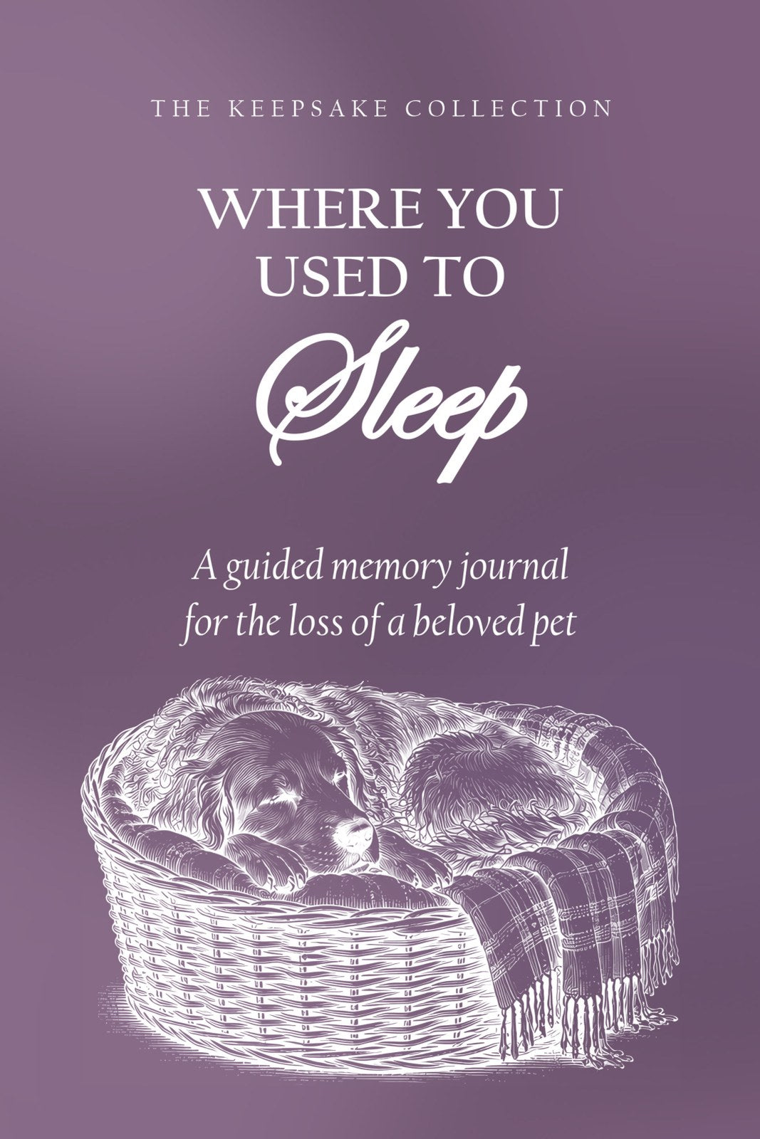 Where You Used to Sleep hardcover gift edition, front cover